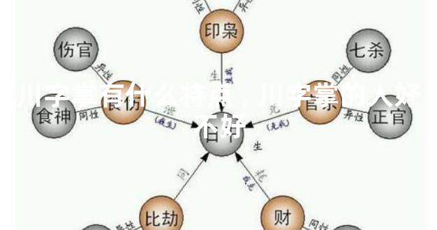 川字掌有什么特点,川字掌的人好不好